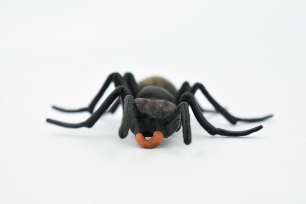 Black Ant, Myrmicinae, Museum Quality, Educational, Hand Painted, Rubber Insect, Realistic Toy Figure, Diorama Model, Kids,  3 Inches.