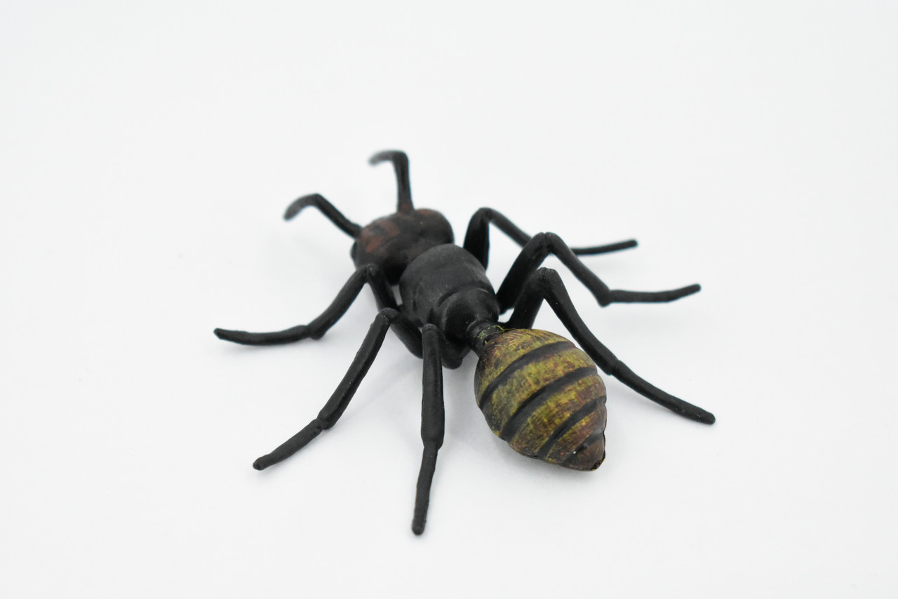 Black Ant, Myrmicinae, Museum Quality, Educational, Hand Painted, Rubber Insect, Realistic Toy Figure, Diorama Model, Kids,  3 Inches.