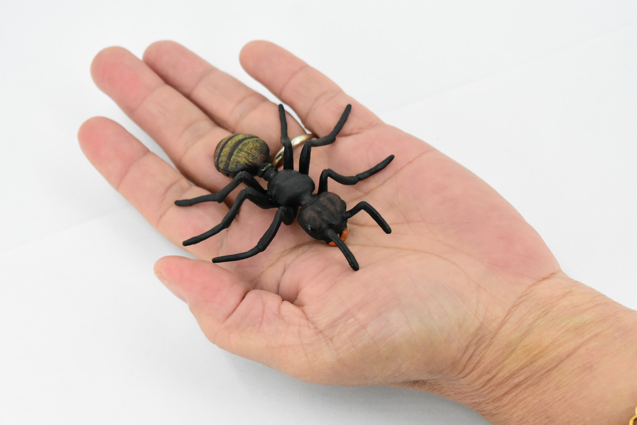 Ant, Black Ant, Myrmicinae, Hand Painted, Rubber Insect, Realistic Toy Figure, Model, Replica, Kids, Educational, Gift,      3"     CH298 BB128