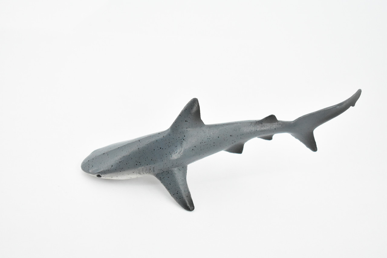 Shark, Black Tip Reef Shark, Museum Quality, Rubber Fish, Hand Painted, Realistic Toy Figure, Model, Replica, Kids, Educational, Gift,      5 1/2"      CH300 BB129   