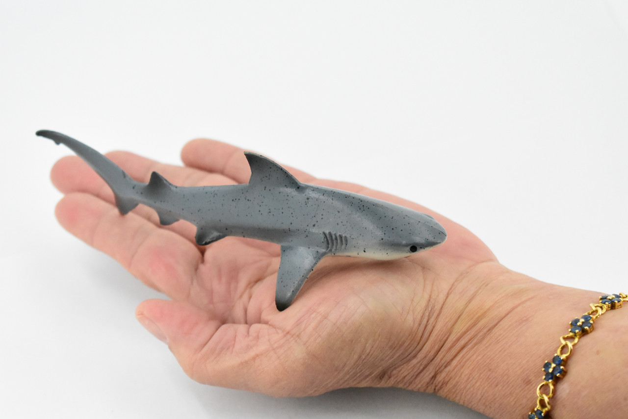 Shark, Black Tip Reef Shark, Museum Quality, Rubber Fish, Hand Painted, Realistic Toy Figure, Model, Replica, Kids, Educational, Gift,      5 1/2"      CH300 BB129   