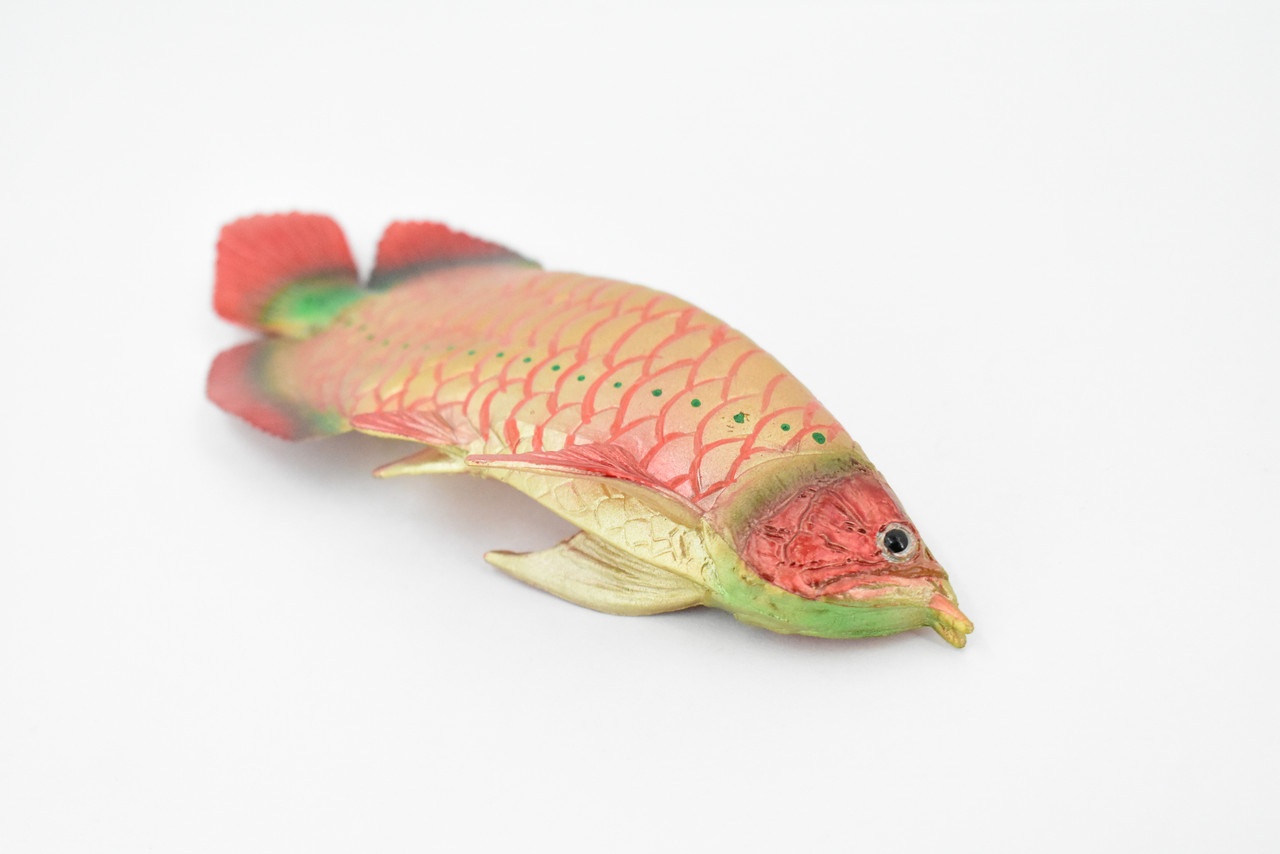 Arowana, Red Dragon Fish, Asian Arowana, Rubber Fish, Hand Painted, Realistic Toy Figure, Model, Replica, Kids, Educational, Gift,    6 1/2"    CH301 BB129