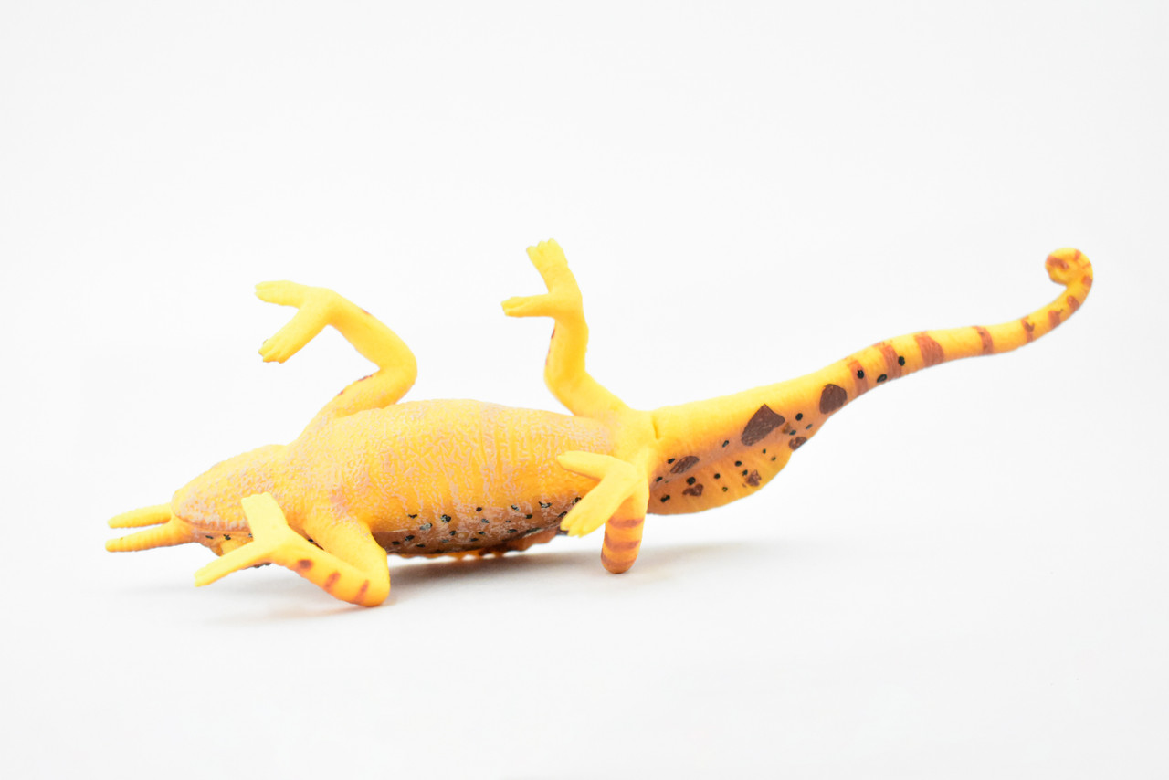 Lizard, Desert Horned Chameleon, Namaqua, Museum Quality, Hand Painted, Rubber Reptile, Educational, Realistic, Lifelike, Educational, Gift,       6"      CH302 BB129