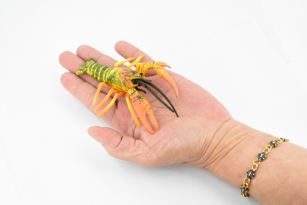 Crawfish, Crayfish, Museum Quality, Hand Painted, Rubber Crustaceans, Educational, Realistic, Lifelike, Educational, Gift,       4 1/2"      CH303 BB129