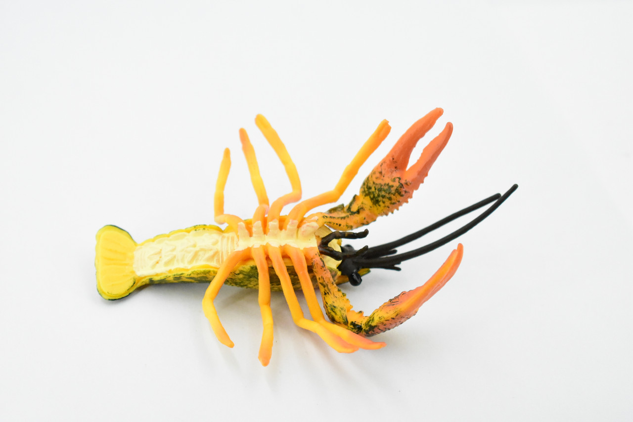 Crawfish, Crayfish, Museum Quality, Hand Painted, Rubber Crustaceans, Educational, Realistic, Lifelike, Educational, Gift,       4 1/2"      CH303 BB129