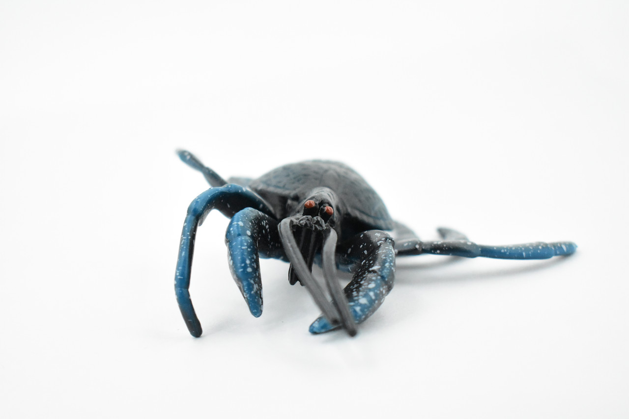 Crab, Coconut Crab, Blue, Museum Quality, Hand Painted, Rubber Crustaceans, Realistic Toy Figure, Model, Replica, Kids, Educational, Gift,       4"     CH304 BB129