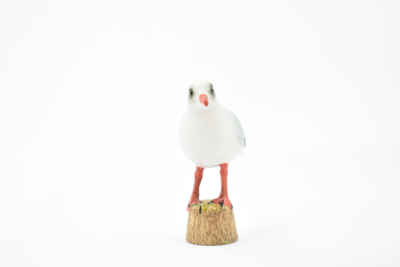 Bird, Seagull, Sea Gulls, Museum Quality, Hand Painted, Rubber, Realistic Toy Figure, Model, Replica, Kids, Educational, Gift,       3 1/2"     CH308 BB129