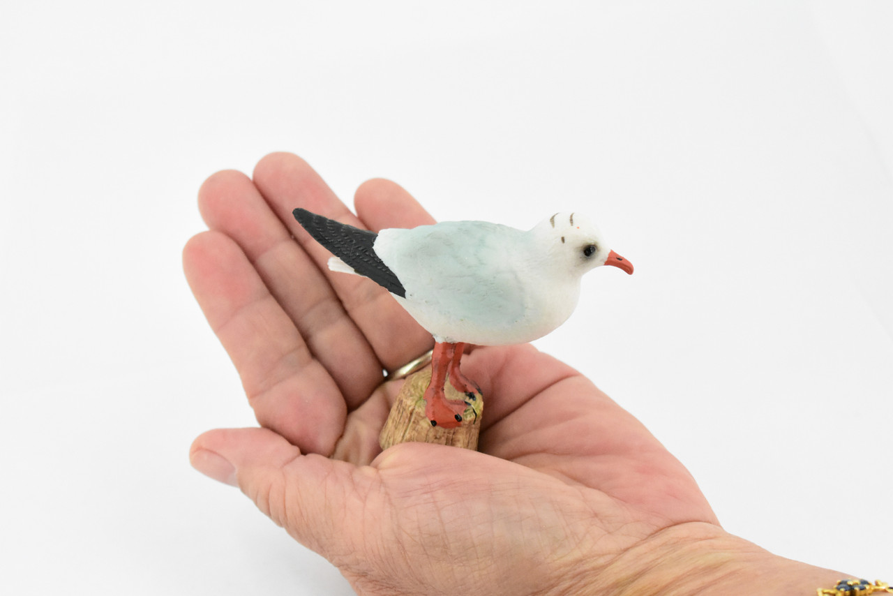 Bird, Seagull, Sea Gulls, Museum Quality, Hand Painted, Rubber, Realistic Toy Figure, Model, Replica, Kids, Educational, Gift,       3 1/2"     CH308 BB129