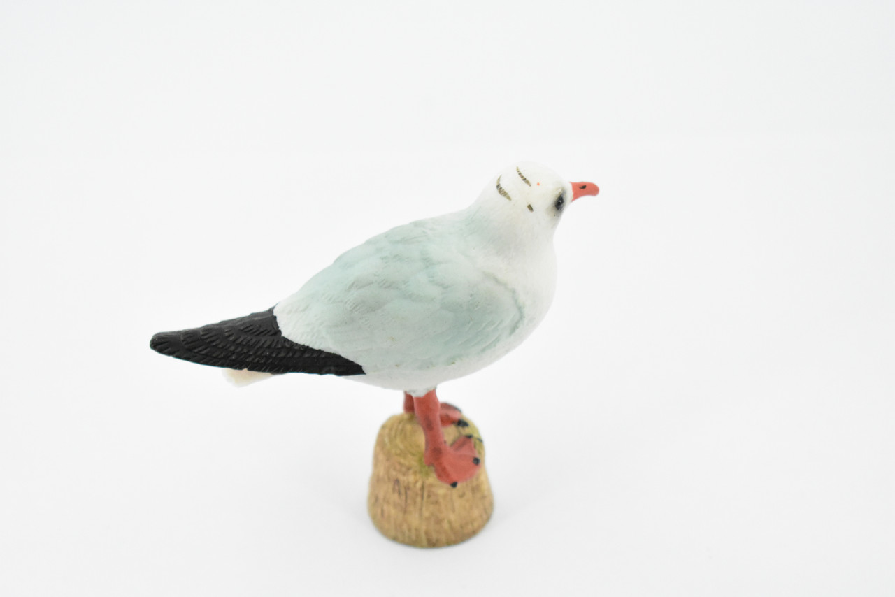 Seagull, Sea Gull, Laridae, Museum Quality, Educational, Hand Painted, Rubber Bird, Realistic Toy Figure, Diorama Model, Replica, Kids, 3 1/2 Inches 