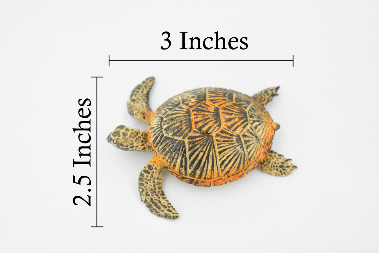 Turtle, Green Sea Turtle, Museum Quality, Hand Painted, Rubber Reptile, Realistic Toy Figure, Model, Replica, Kids, Educational, Gift,     3"     CH310 BB130