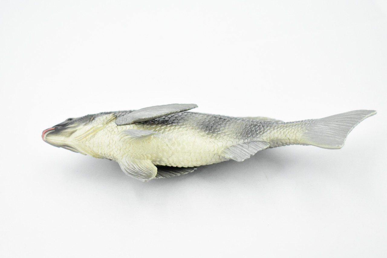 Fish, Tilapia, Nile Perch, Museum Quality, Hand Painted, Rubber Fish ...