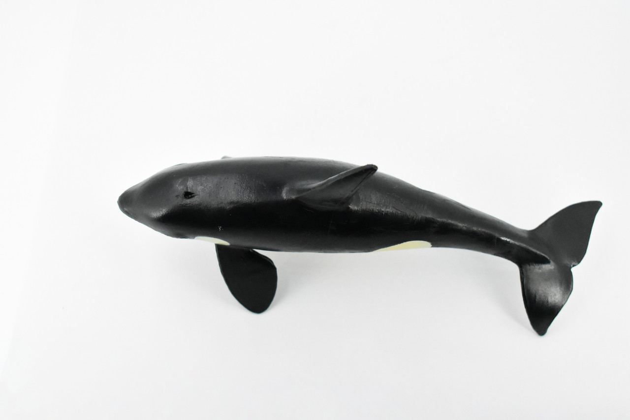 Whale, Orca, Killer Whale, Marine Mammal, Museum Quality, Hand Painted, Rubber Animal, Realistic Toy Figure, Model, Educational, Gift,       8"     CH314 BB131