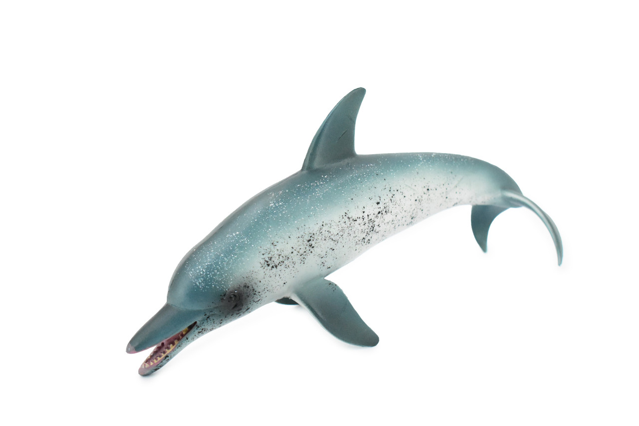 Dolphin, Spotted Dolphin, Porpoise, Marine Mammal, Museum Quality, Hand Painted, Realistic Toy Figure, Model, Educational, Gift,       8"     CH315 BB131