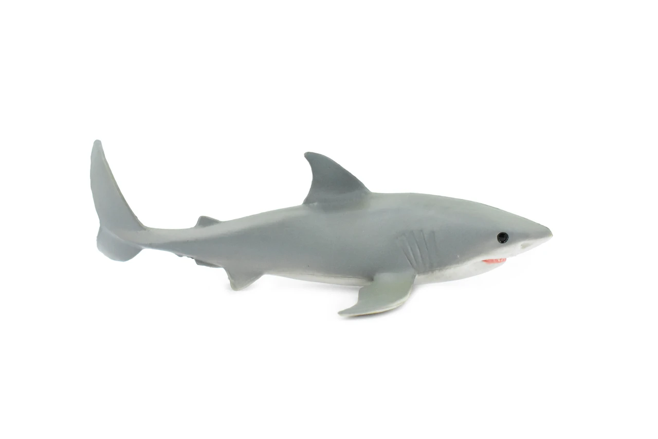 Great White, G.W. Shark, Young, Museum Quality, Hand Painted, Educational, Rubber Fish, Diorama Model, Replica, Realistic Toy Figure, Kids,  5 1/2 Inches.