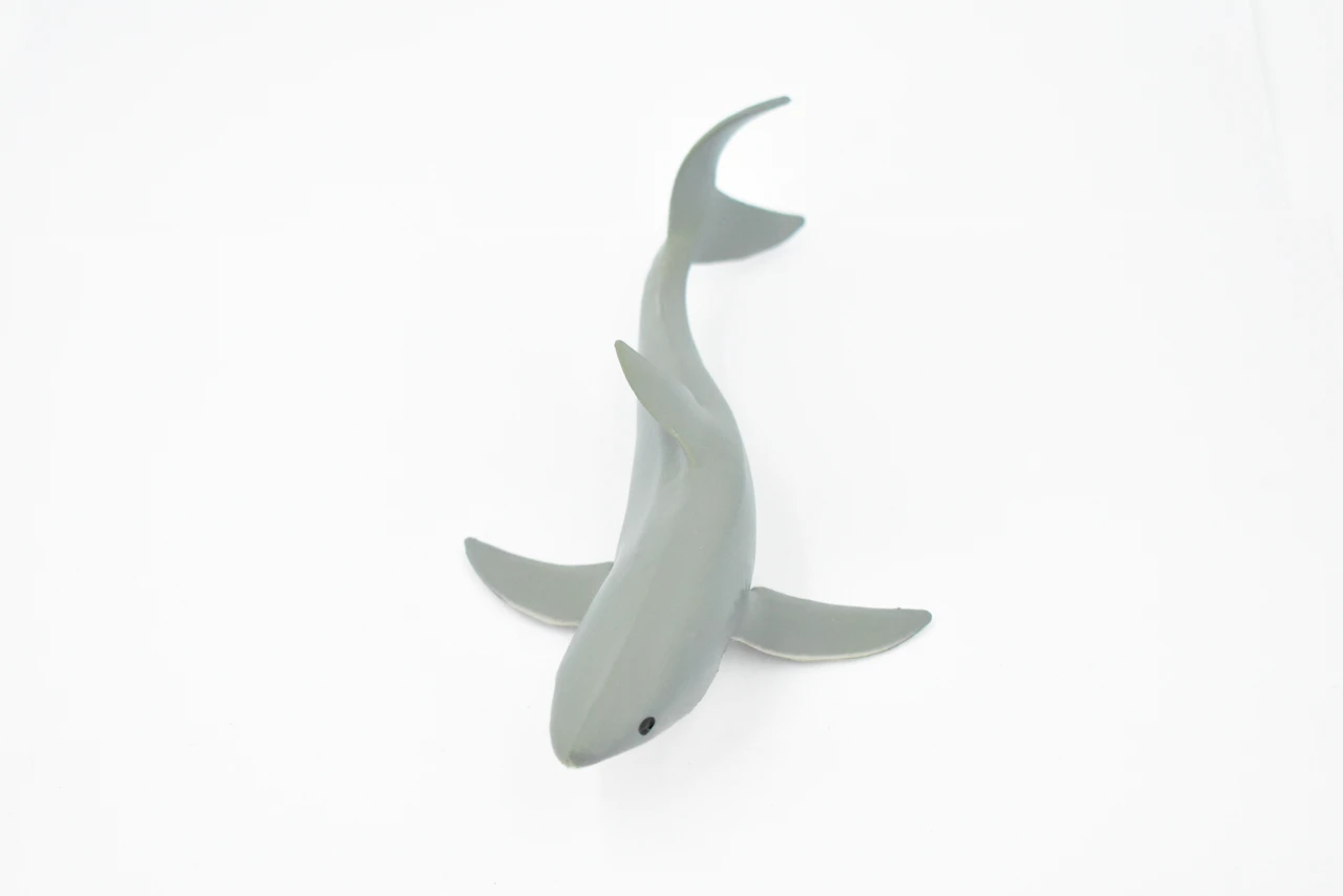 Great White, G.W. Shark, Young, Museum Quality, Hand Painted, Educational, Rubber Fish, Diorama Model, Replica, Realistic Toy Figure, Kids,  5 1/2 Inches.