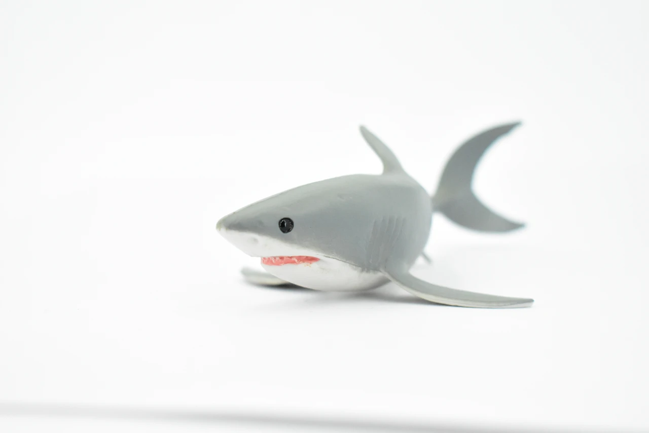 Great White, G.W. Shark, Young, Museum Quality, Hand Painted, Educational, Rubber Fish, Diorama Model, Replica, Realistic Toy Figure, Kids,  5 1/2 Inches.