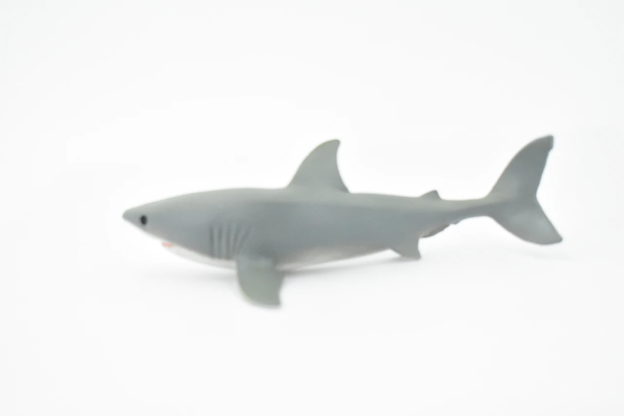 Great White, G.W. Shark, Young, Museum Quality, Hand Painted, Educational, Rubber Fish, Diorama Model, Replica, Realistic Toy Figure, Kids,  5 1/2 Inches.