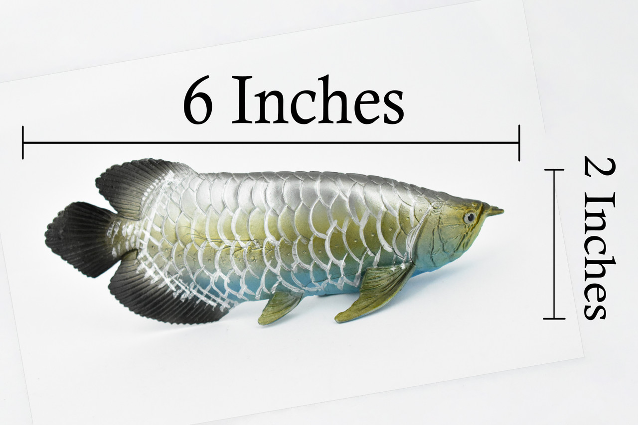 Arowana, Blue Dragon Fish, Asian Arowana, Rubber Fish, Hand Painted, Realistic Toy Figure, Model, Replica, Kids, Educational, Gift,     6 "    CH318 BB131