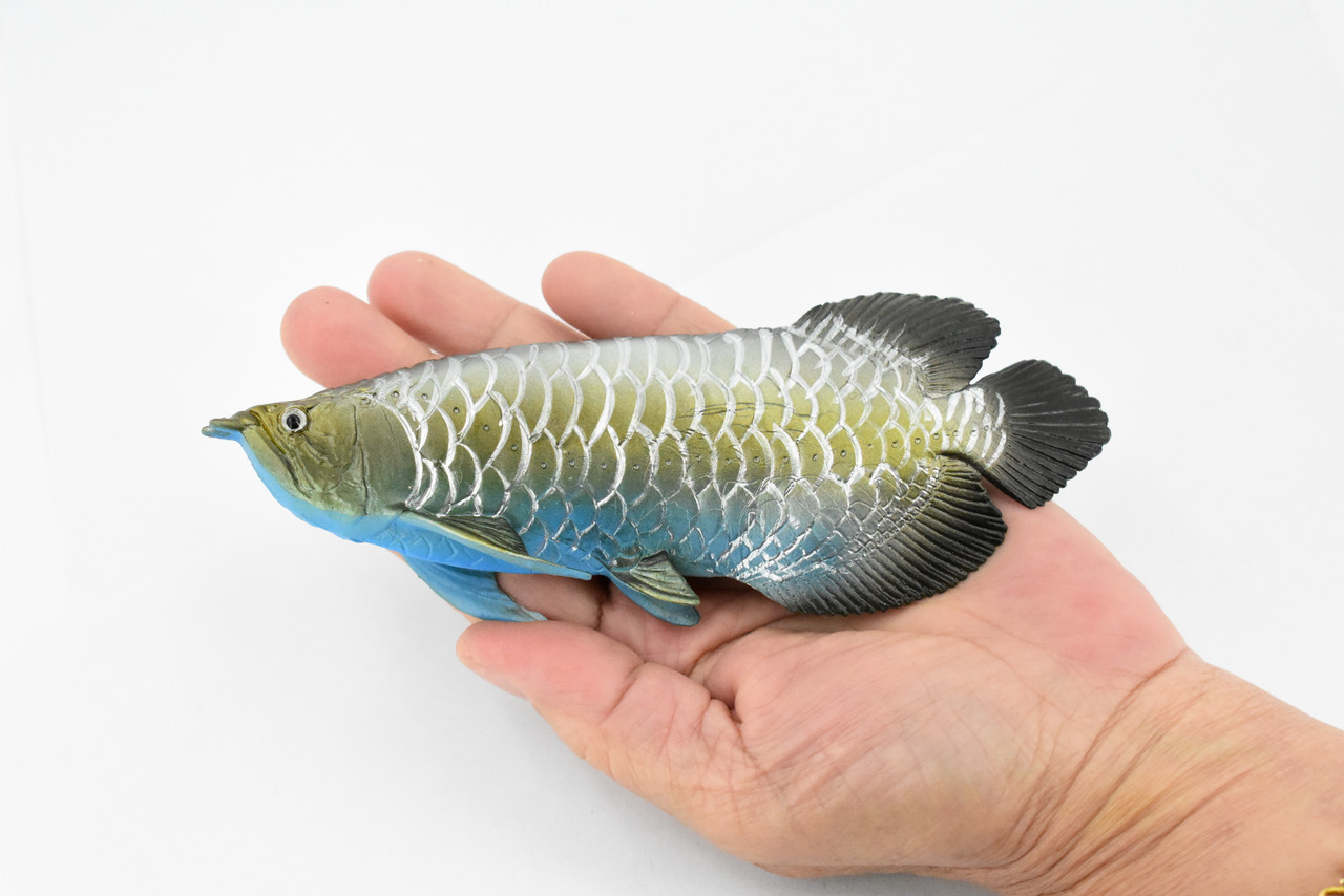 Arowana, Blue Dragon Fish, Asian Arowana, Rubber Fish, Hand Painted, Realistic Toy Figure, Model, Replica, Kids, Educational, Gift,     6 "    CH318 BB131