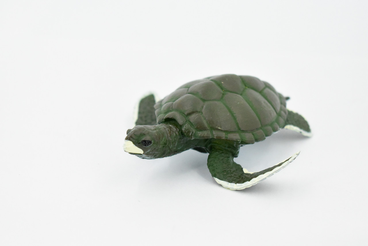 Turtle, Green Sea Turtle, Museum Quality, Hand Painted, Rubber Reptile, Realistic Toy Figure, Model, Replica, Kids, Educational, Gift,     4"     CH319 BB131