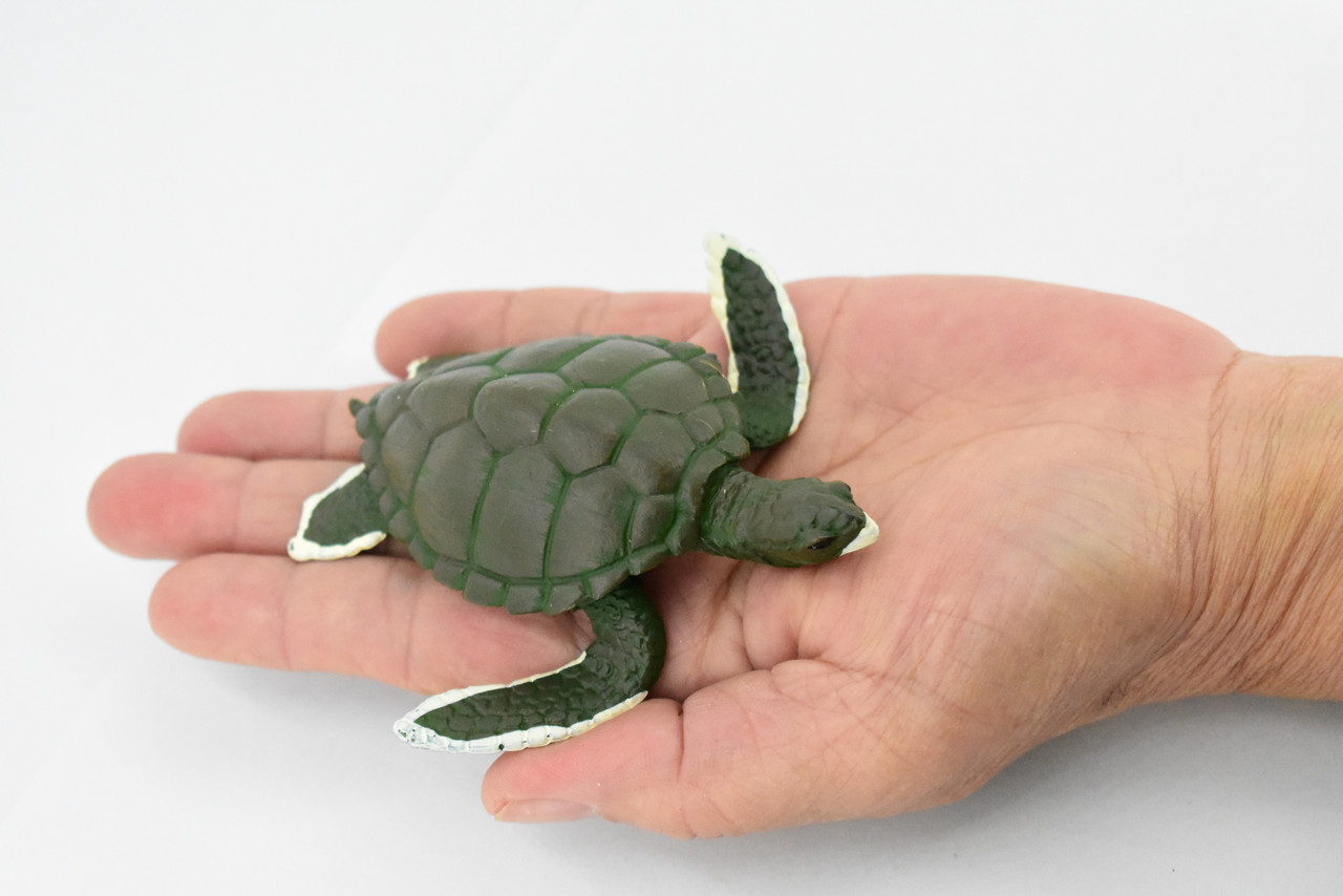 Turtle, Green Sea Turtle, Museum Quality, Hand Painted, Rubber Reptile, Realistic Toy Figure, Model, Replica, Kids, Educational, Gift,     4"     CH319 BB131