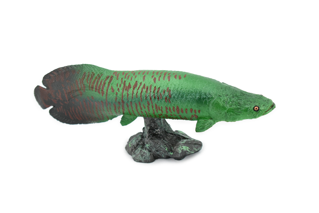 Fish, Arapaima, Green, Museum Quality, Hand Painted, Rubber Fish, Realistic  Toy Figure, Model, Replica, Kids, Educational, Gift, 7  CH320 BB132