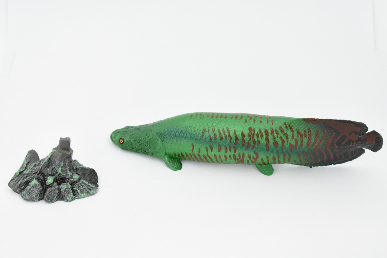 Fish, Arapaima, Green, Museum Quality, Hand Painted, Rubber Fish, Realistic Toy Figure, Model, Replica, Kids, Educational, Gift,     7 "    CH320 BB132