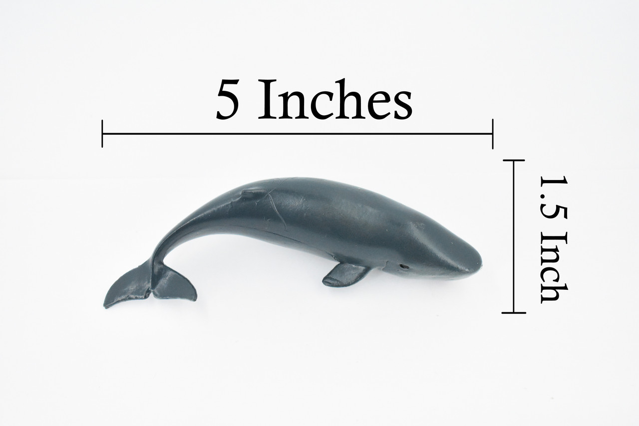 Whale, Sperm Whale Baby, Cetacean, Marine Mammal, Museum Quality, Hand Painted, Rubber Animal, Realistic Toy Figure, Model, Educational, Gift,       5"     CH322 BB132