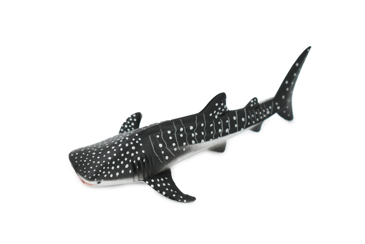 Whale Shark, Museum Quality, Hand Painted, Rubber Fish, Educational, Realistic Hand Painted Figure, Lifelike Figurine, Replica, Gift,      6"      CH323 BB132