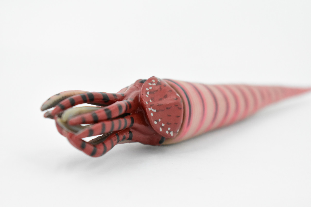 Orthoceras, Extinct Nautiloid Cephalopod, Museum Quality, Rubber Fish, Hand Painted, Realistic Toy Figure, Diorama Model, Kids, Educational, 8 Inches. 