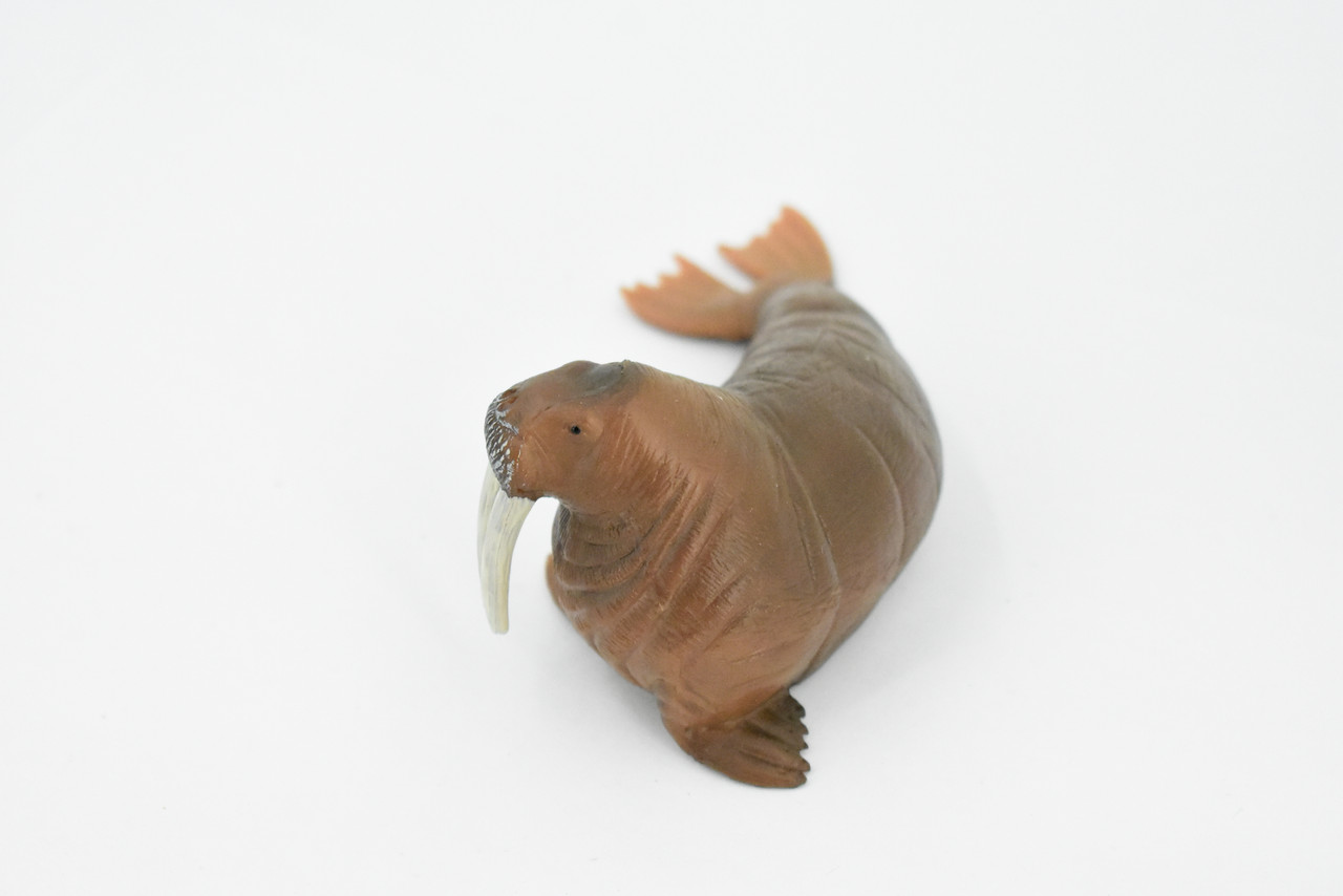 Walrus, Pinniped Marine Mammal, Museum Quality, Hand Painted, Rubber, Realistic Toy Figure, Model, Replica, Kids, Educational, Gift,        5"      CH327 BB132