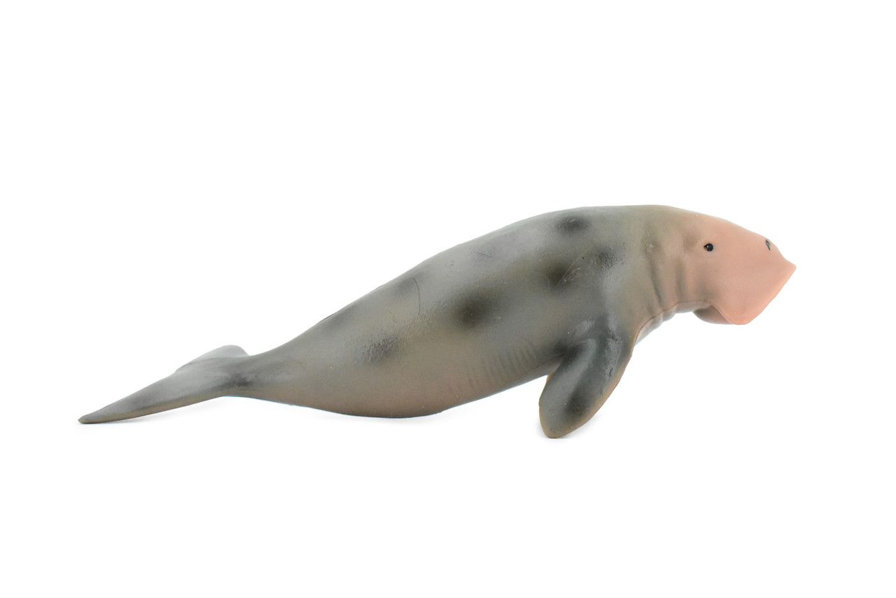 Dugongs, Manatee, Sea Cow, Museum Quality, Hand Painted, Very Realistic Rubber Mammal, Model, Educational, Gift,       6"     CH329 BB133