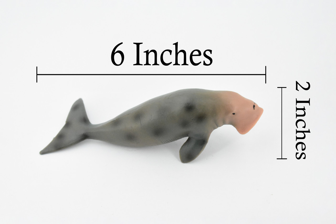 Dugongs, Manatee, Sea Cow, Marine Mammal, Museum Quality, Hand Painted, Educational, Rubber, Diorama Model, Realistic Toy Figure, Kids,  6 Inches.