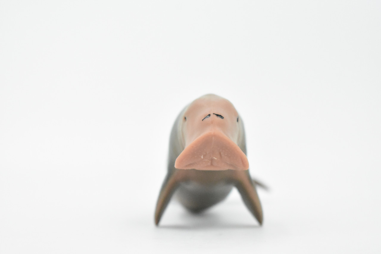 Dugongs, Manatee, Sea Cow, Marine Mammal, Museum Quality, Hand Painted, Educational, Rubber, Diorama Model, Realistic Toy Figure, Kids,  6 Inches.