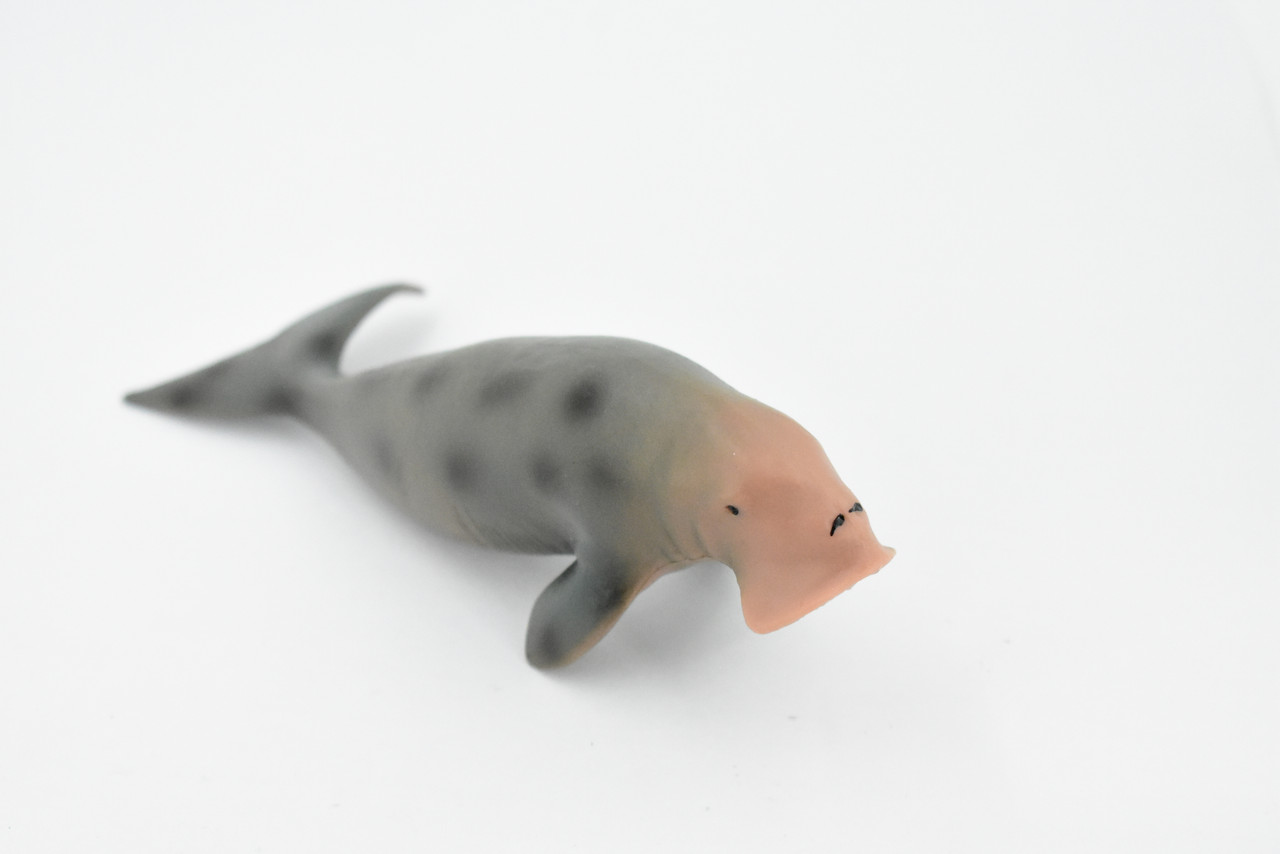 Dugongs, Manatee, Sea Cow, Marine Mammal, Museum Quality, Hand Painted, Educational, Rubber, Diorama Model, Realistic Toy Figure, Kids,  6 Inches.