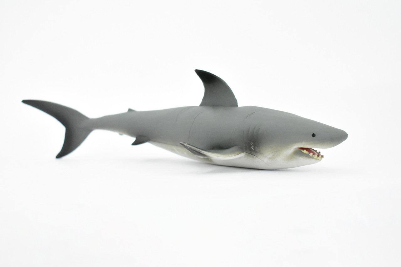 Shark, Black tip Reef Shark, Museum Quality, Rubber Fish, Hand Painted, Realistic Toy Figure, Model, Replica, Kids, Educational, Gift,     7"      CH330 BB133  