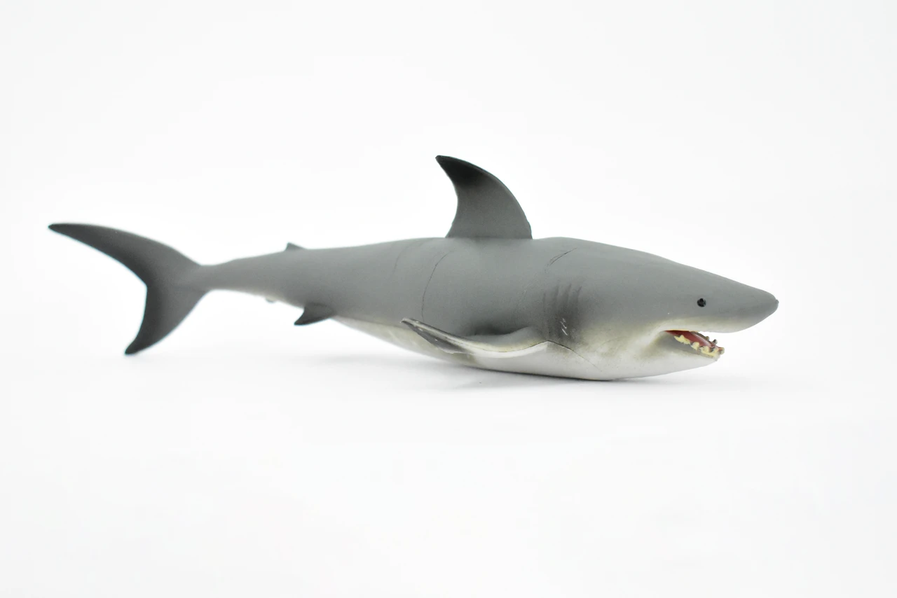Black Tip Reef Shark, Museum Quality, Hand Painted,  Rubber Fish,  Educational, Diorama Model, Replica, Realistic Toy Figure, Kids,  7 Inches. 