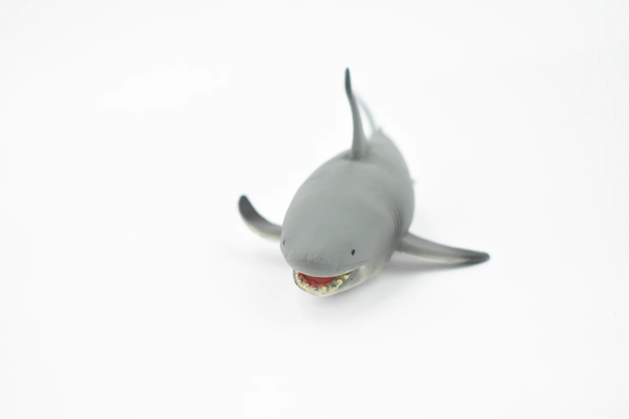 Black Tip Reef Shark, Museum Quality, Hand Painted,  Rubber Fish,  Educational, Diorama Model, Replica, Realistic Toy Figure, Kids,  7 Inches. 