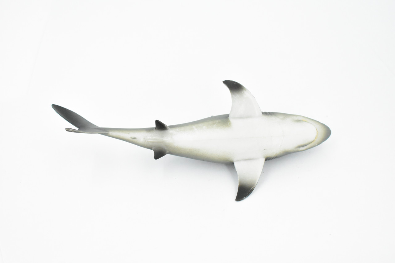 Shark, Black tip Reef Shark, Museum Quality, Rubber Fish, Hand Painted, Realistic Toy Figure, Model, Replica, Kids, Educational, Gift,     7"      CH330 BB133  