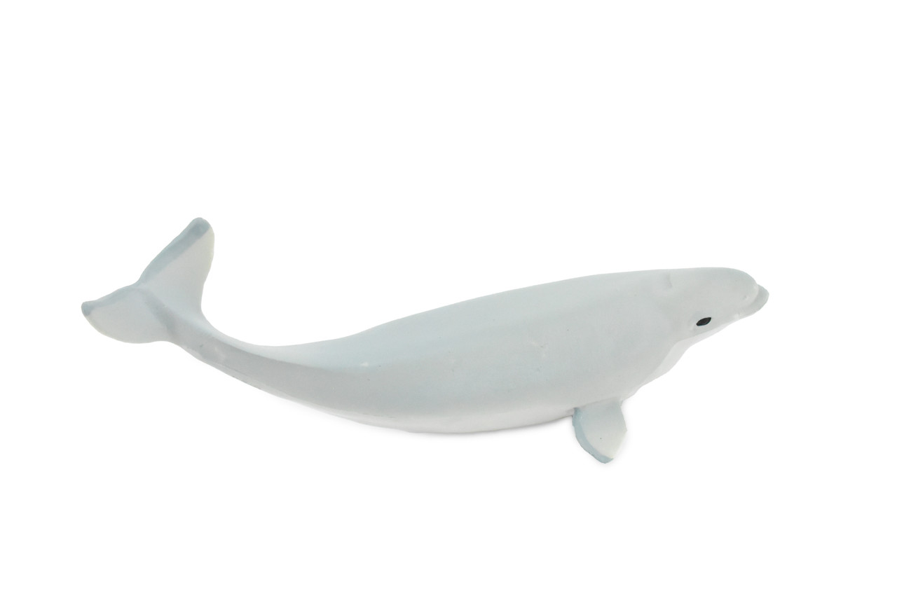 Beluga Baby Whale, White Whale, Calf, Museum Quality, Rubber, Hand Painted, Realistic Toy Figure, Model, Replica, Kids, Educational,  5 Inches.