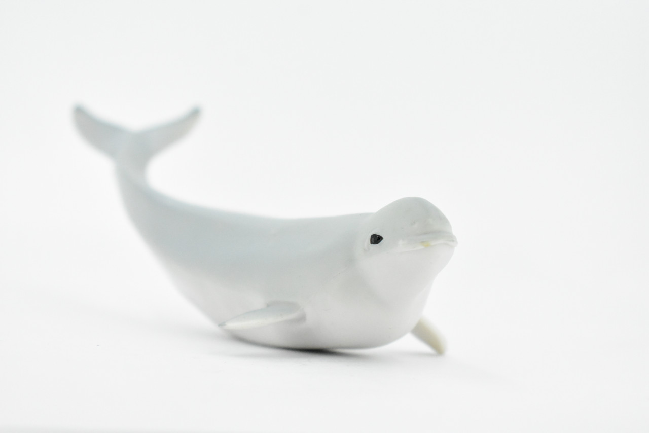 Whale, Beluga Baby, White Whale, Calf, Museum Quality, Rubber, Hand Painted, Realistic Toy Figure, Model, Replica, Kids, Educational, Gift,     5"      CH331 BB133   