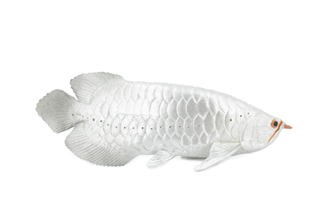 Arowana, Silver Dragon Fish, Asian Arowana, Rubber Fish, Hand Painted, Realistic Toy Figure, Model, Replica, Kids, Educational, Gift,     5"    CH334 BB133