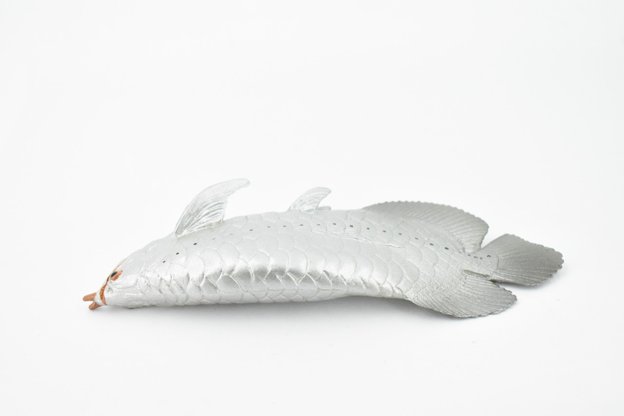 Arowana, Silver Dragon Fish, Asian Arowana, Rubber Fish, Hand Painted, Realistic Toy Figure, Model, Replica, Kids, Educational, Gift,     5"    CH334 BB133