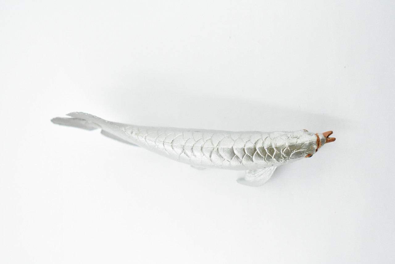 Arowana, Silver Dragon Fish, Asian Arowana, Rubber Fish, Hand Painted, Realistic Toy Figure, Model, Replica, Kids, Educational, Gift,     5"    CH334 BB133