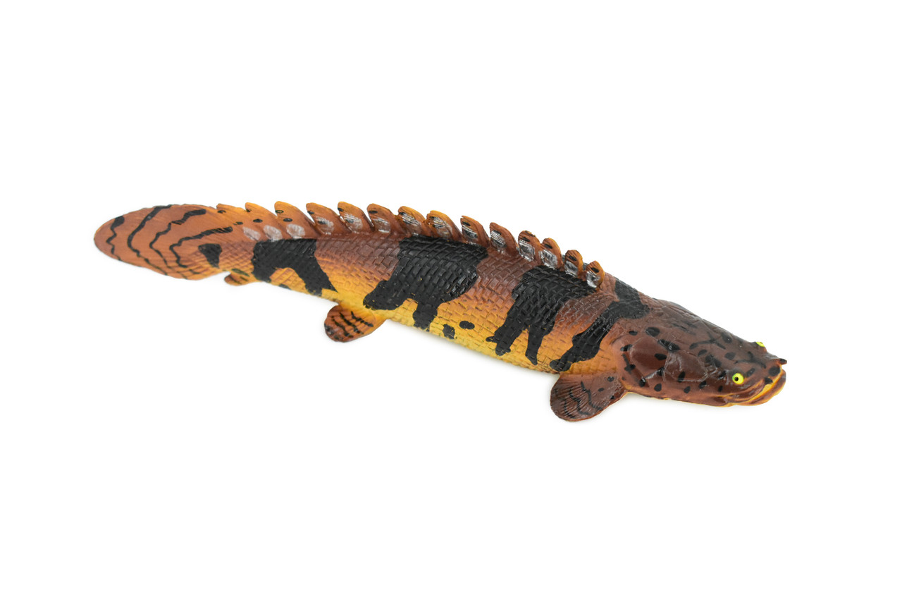 Fish, Bowfin Fish, Barred Bichir, Museum Quality, Hand Painted, Rubber Fish, Realistic Toy Figure, Model, Replica, Kids, Educational, Gift,     7"    CH336 BB133