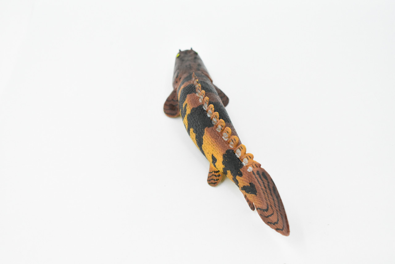 Fish, Bowfin Fish, Barred Bichir, Museum Quality, Hand Painted, Rubber Fish, Realistic Toy Figure, Model, Replica, Kids, Educational, Gift,     7"    CH336 BB133