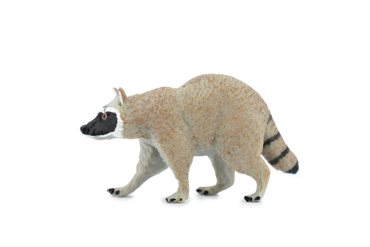 Raccoon, Racoon, Trash panda, Museum Quality, Hand Painted, Rubber Mammal, Realistic Toy Figure, Replica, Kids, Educational, 4 Inches.