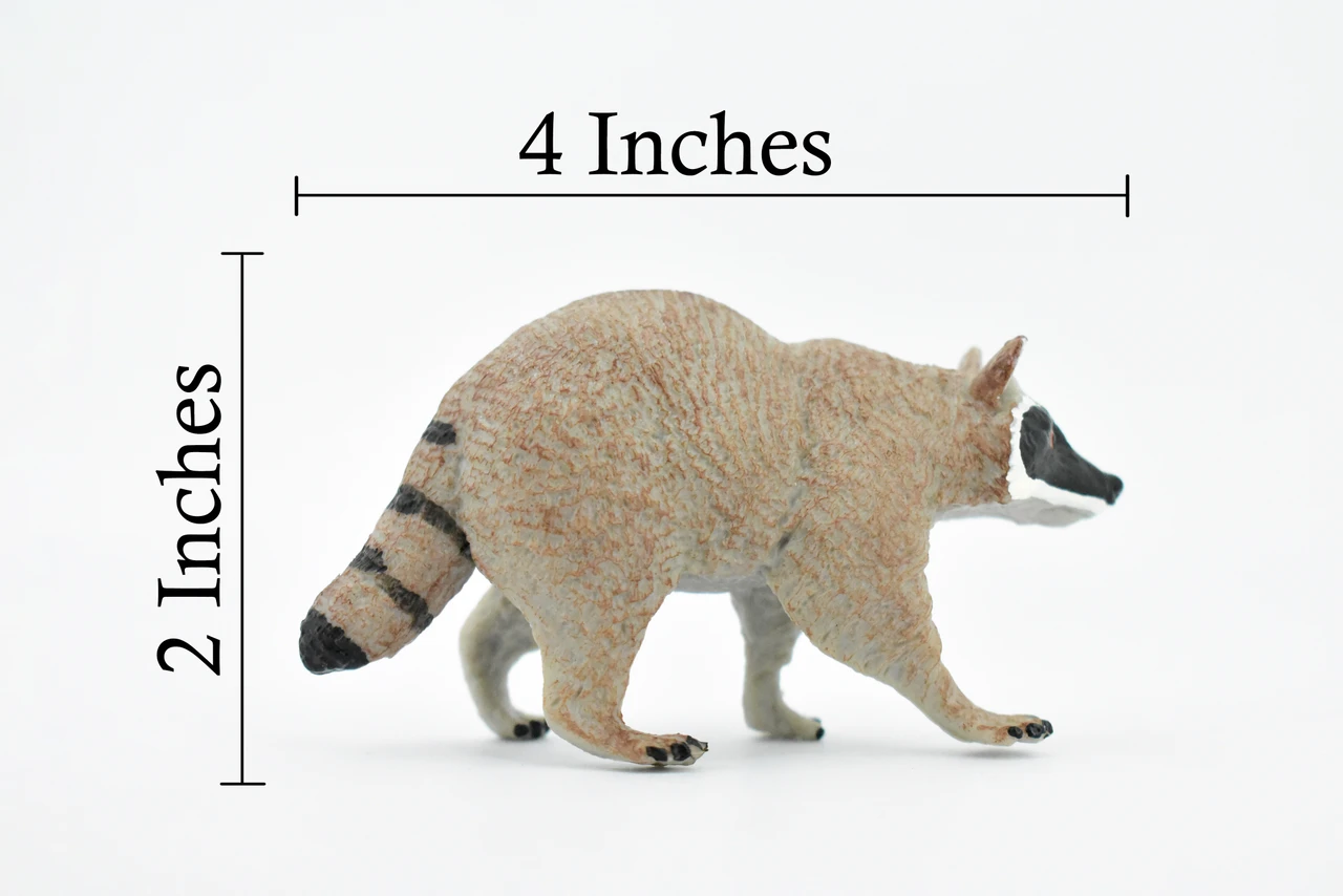 Raccoon, Racoon, Trash panda, Museum Quality, Hand Painted, Rubber Mammal, Realistic Toy Figure, Replica, Kids, Educational, 4 Inches.