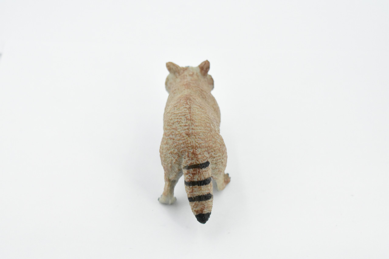 Raccoon, Racoon, Museum Quality, Hand Painted, Very Realistic Rubber, Animal, Figure, Model, Kids, Educational, Gift,     4"    CH337 BB134