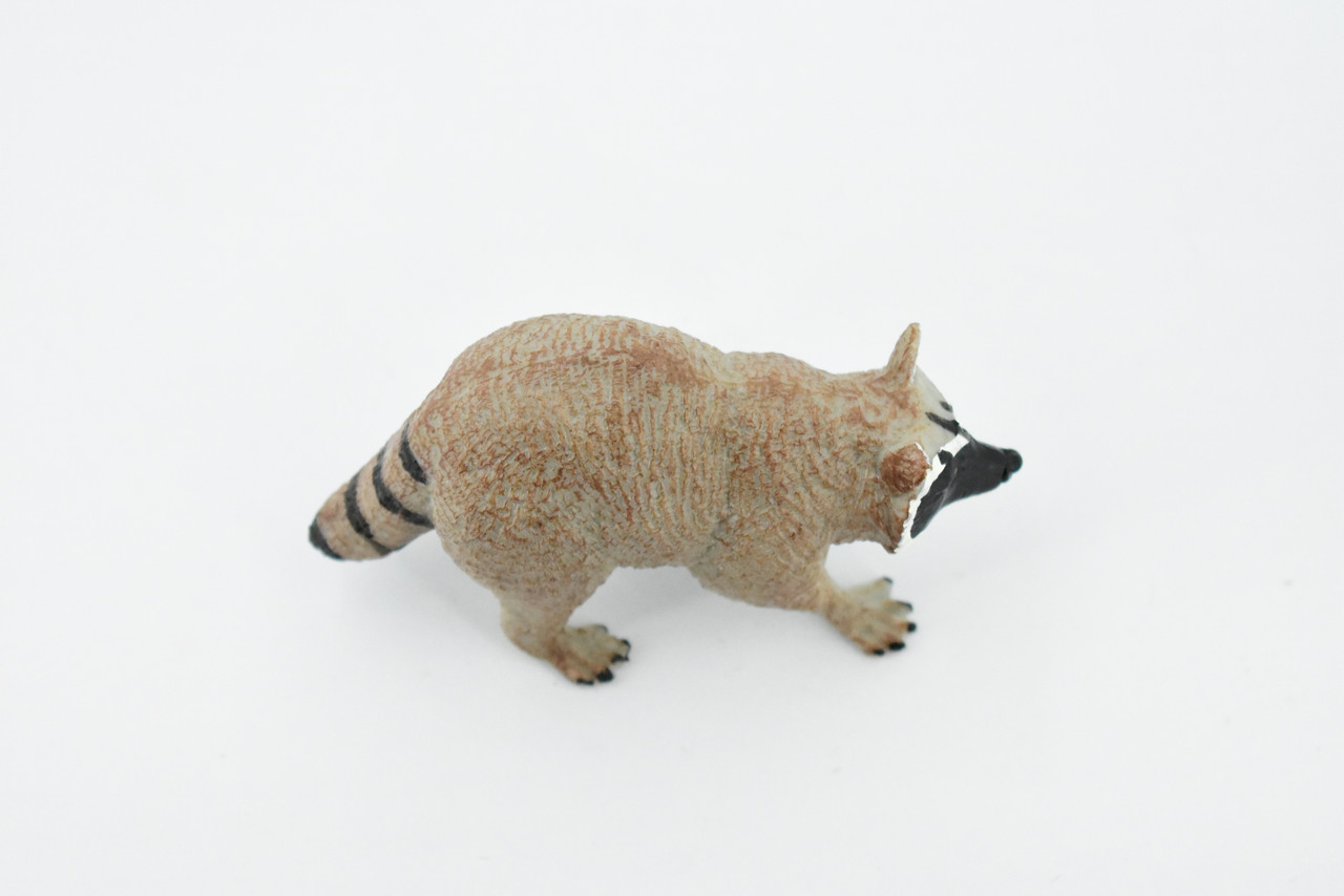 Raccoon, Racoon, Trash panda, Museum Quality, Hand Painted, Rubber Mammal, Realistic Toy Figure, Replica, Kids, Educational, 4 Inches.